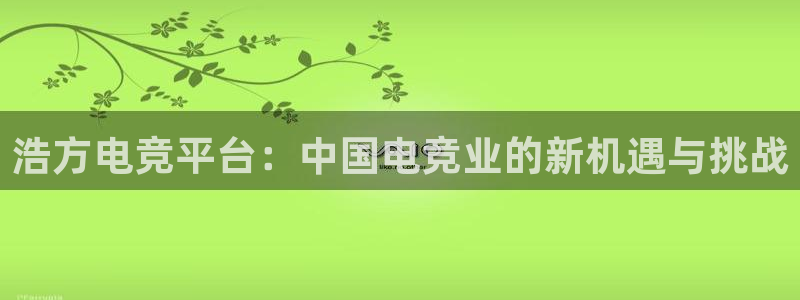 米兰电竞电子竞技平台：浩方电竞平台：中国电竞业的新机遇与挑战