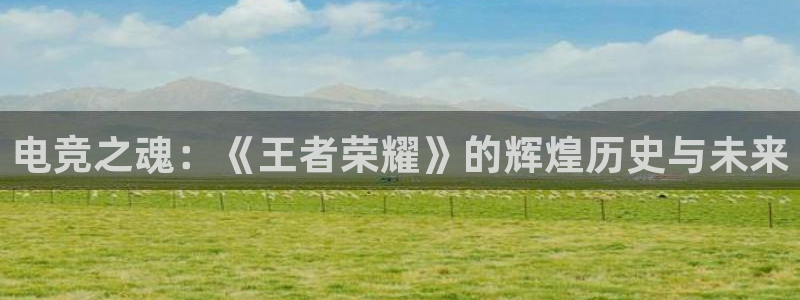 米兰电竞下载：电竞之魂：《王者荣耀》的辉煌历史与未来