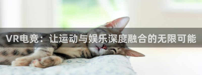 米兰电竞网站：VR电竞：让运动与娱乐深度融合的无限可能
