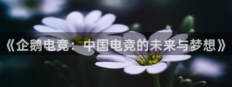米兰电竞电子竞技平台：《企鹅电竞：中国电竞的未来与梦想》
