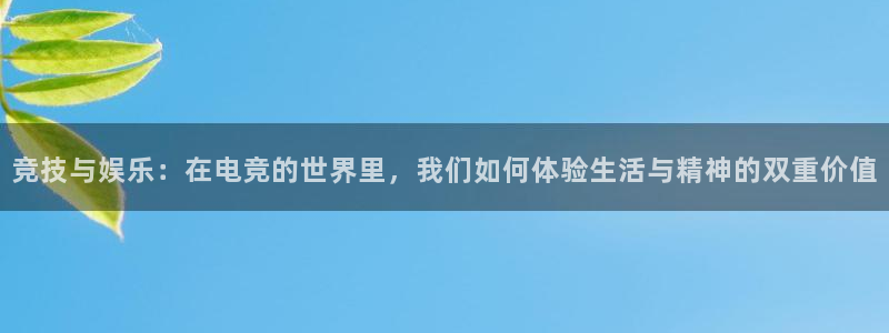 米兰电竞：竞技与娱乐：在电竞的世界里，我们如何体验生活与精神的双重价值