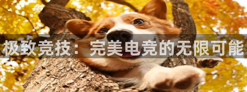米兰电竞官网下载：极致竞技：完美电竞的无限可能