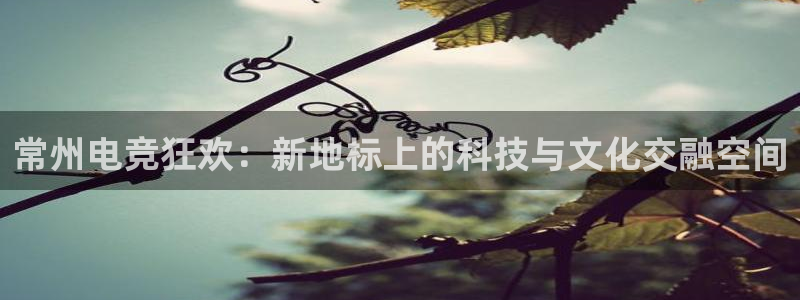 米兰电竞app下载：常州电竞狂欢：新地标上的科技与文化交融空间