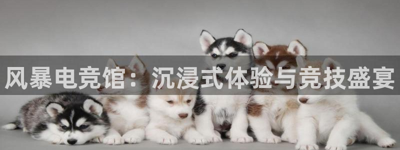 米兰电竞平台：风暴电竞馆：沉浸式体验与竞技盛宴