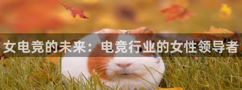 米兰电竞app：女电竞的未来：电竞行业的女性领导者