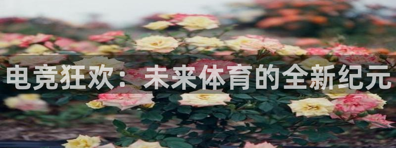 米兰电竞app：电竞狂欢：未来体育的全新纪元